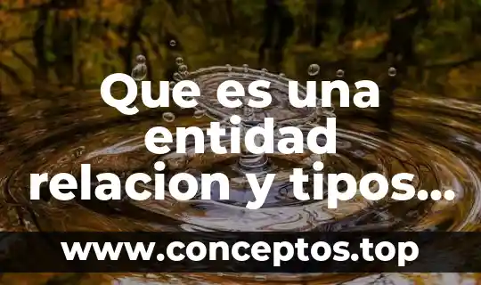 Que es una entidad relacion y tipos de entidades