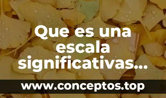 Que es una escala significativas significado