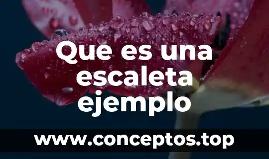 Que es una escaleta ejemplo