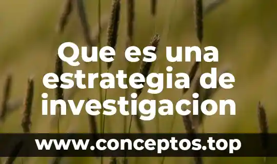 Qué es una conclusión en la investigación 7 Que es una estrategia de investigacion