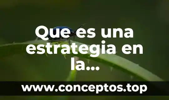 Que es una estrategia en la administracion