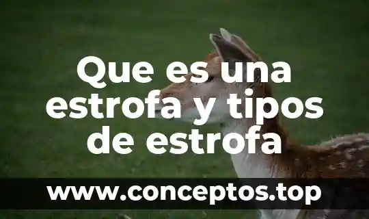 Que es una estrofa y tipos de estrofa