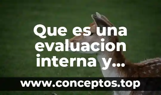 Que es una evaluacion interna y externa