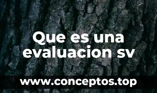Que es una evaluacion sv