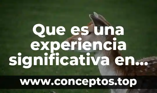 Que es una experiencia significativa en el aula