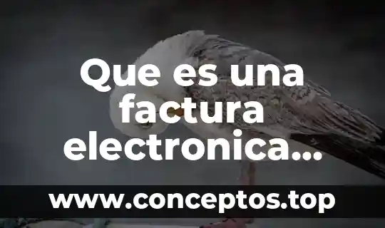 Que es la huella digital en la firma electronica 3 Que es una factura electronica segun el sat