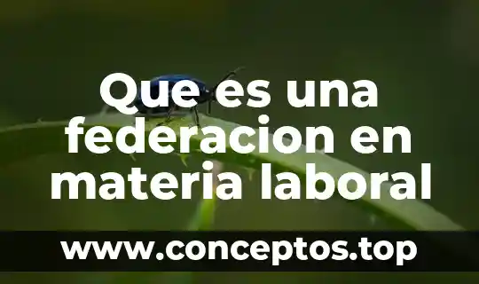 Que es una federacion en materia laboral