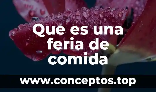 Que es lo correcto en una comida por bautizo 6 Que es una feria de comida
