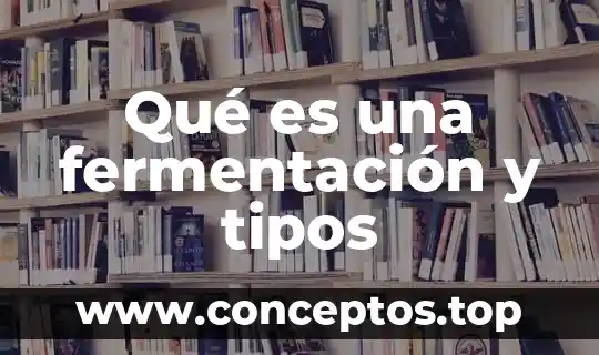 Qué es una fermentación y tipos