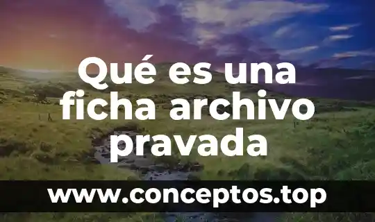 Qué es una ficha archivo pravada