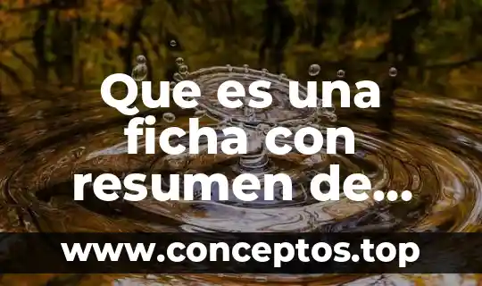 Que es una ficha con resumen de observacion