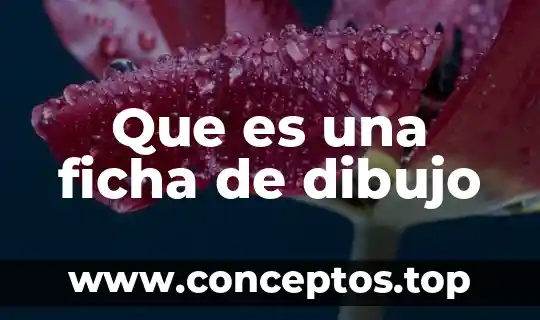 Que es una ficha de dibujo