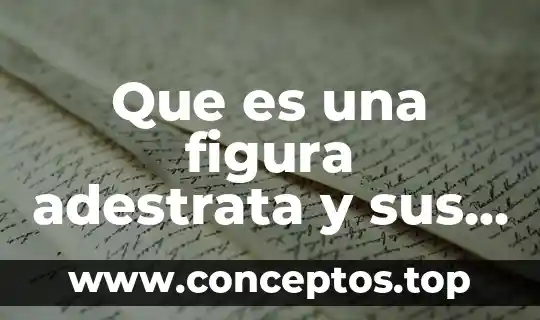 Que es una figura adestrata y sus partes