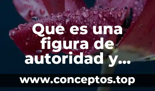 Que es fosyga y su funcion 4 Que es una figura de autoridad y que funcion tiene