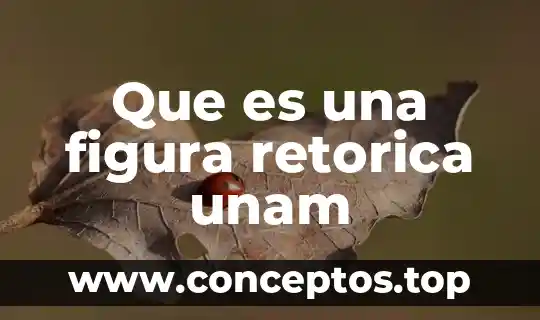 Que es una figura retorica unam