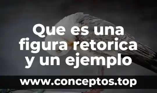 Que es una figura retorica y un ejemplo