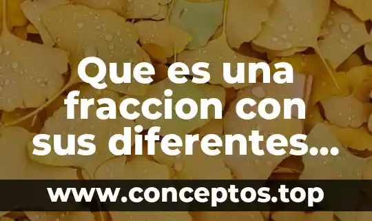 Que es una fraccion con sus diferentes tipos