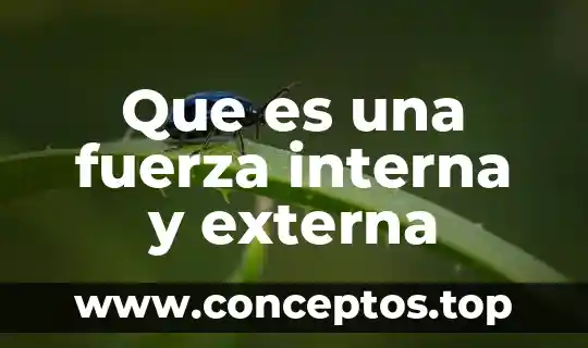 Que es una fuerza interna y externa
