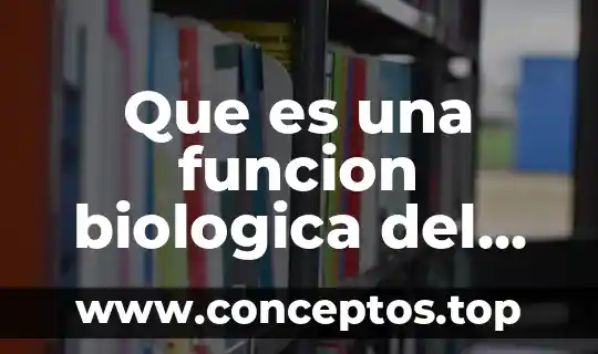 Que es diversidad biologica y acciones para cuidarla 8 Que es una funcion biologica del agua