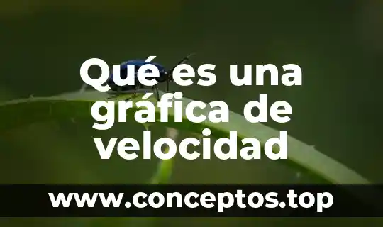 Qué es una gráfica de velocidad
