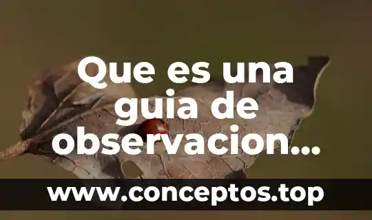 Que es una guia de observacion segun autores