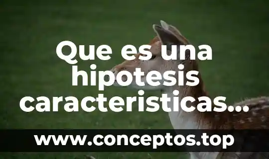 Que es una hipotesis caracteristicas y como se plantea