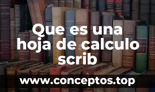 Que es una hoja de calculo scrib