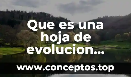 Que es una hoja de evolucion medica