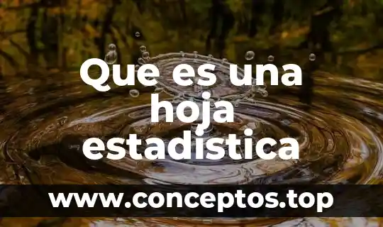 Que es una hoja estadistica