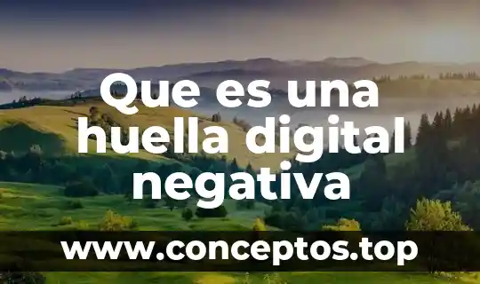 Que es huella ecologica articulos 5 Que es una huella digital negativa
