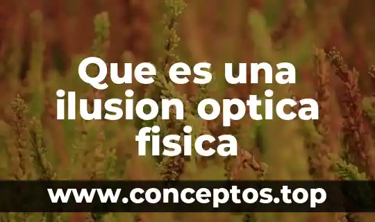 Que es una ilusion optica fisica