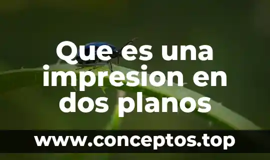 Que es una impresion en dos planos