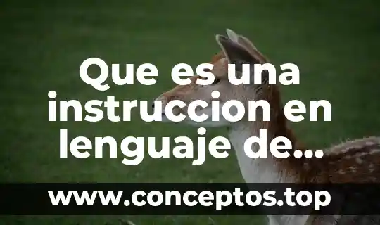 Filosofia del lenguaje que es el signo y simbolo 8 Que es una instruccion en lenguaje de programacion