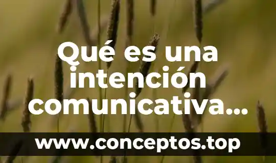 Qué es una intención comunicativa de un texto