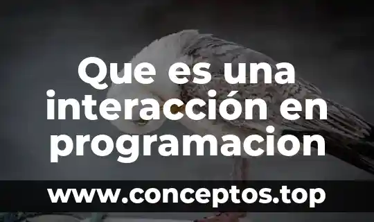 Que es una interacción en programacion