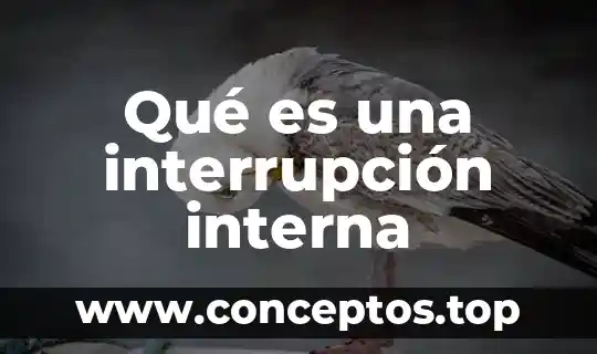 Qué es una interrupción interna