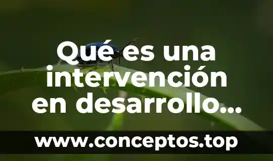 Qué es la estructura organizacional en prezi 4 Qué es una intervención en desarrollo organizacional tipos
