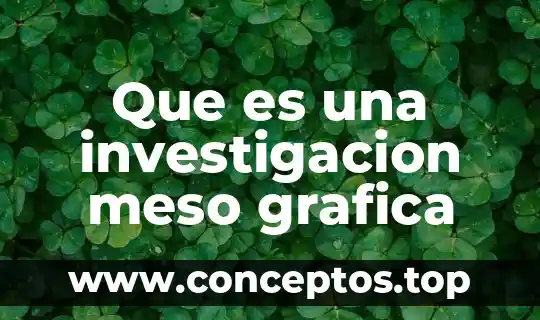 Que es una investigacion meso grafica
