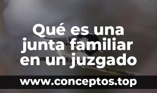 Qué es una junta familiar en un juzgado