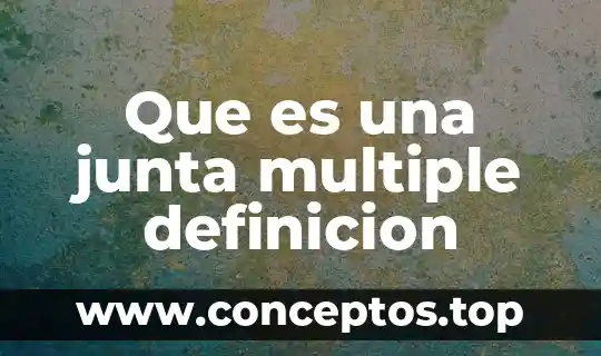 Que es una junta multiple definicion