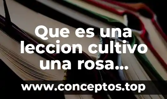 Que es obra negra gris y blanca 3 Que es una leccion cultivo una rosa blanca de primaria
