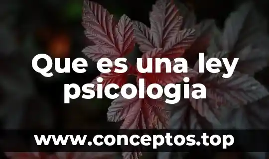 Que es una ley psicologia