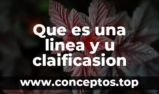 Que es una linea y u claificasion