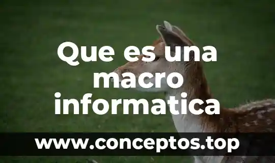 Que es una macro informatica