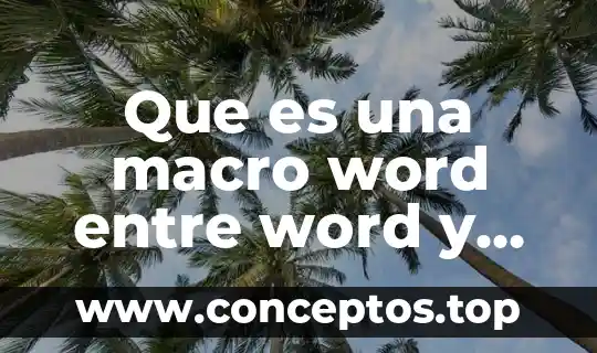 Que es una macro word entre word y visual basic