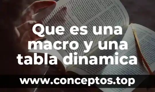 Que es una macro y una tabla dinamica