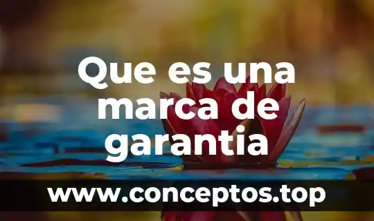 Nombre de la marca que es 6 Que es una marca de garantia