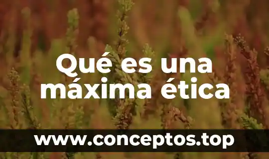 Qué es una máxima ética
