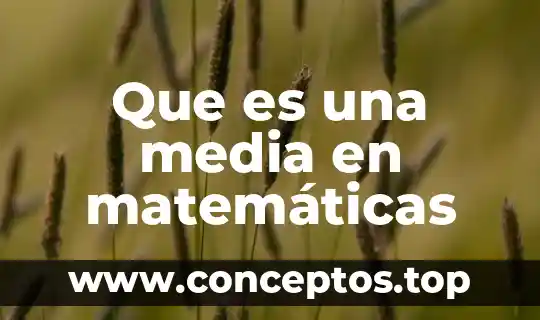 Que es una media en matemáticas