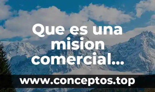 Que es una mision comercial directa